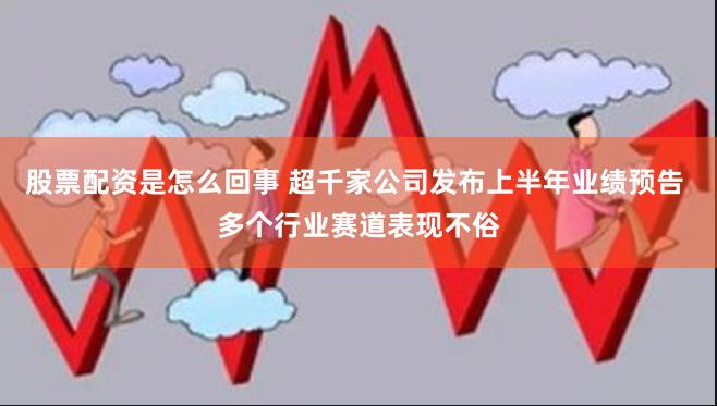 股票配资是怎么回事 超千家公司发布上半年业绩预告 多个行业赛道表现不俗